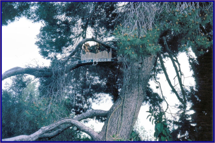 Tree ornament declaring the angelic pronouncement Glory to God in the Highest at Shepherds Field